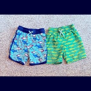 2 - Boys 5T Swim Trunks